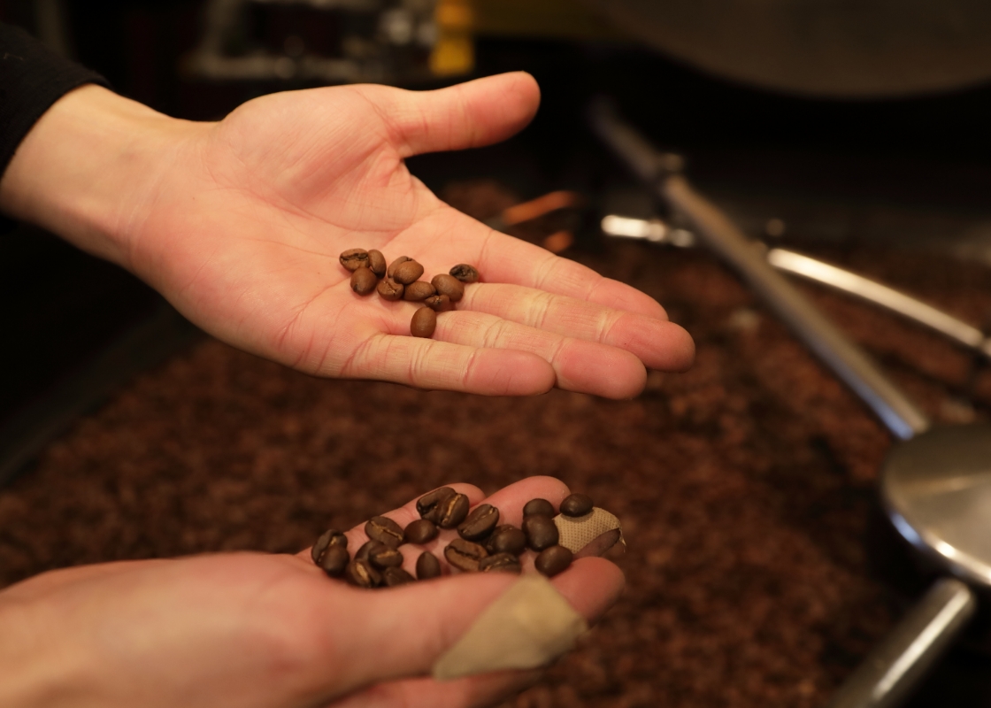 焙煎後のコーヒー豆の状態を手に取って確認している様子