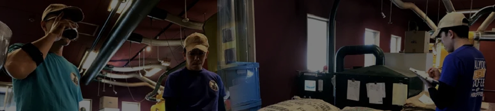 工場内で作業着を着たスタッフが、コーヒー豆の製造工程を確認・作業している様子