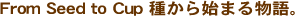 From Seed to Cup �킩��n�܂镨��B