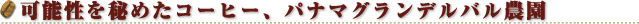 �\�����߂��R�[�q�[�A�p�i�}�O�����f���o���_��