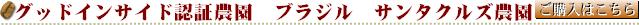 �O�b�h�C���T�C�h�F�؁@�u���W���T���^�N���Y�_��