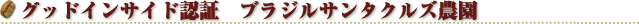 �O�b�h�C���T�C�h�F�؁@�u���W���T���^�N���Y�_��