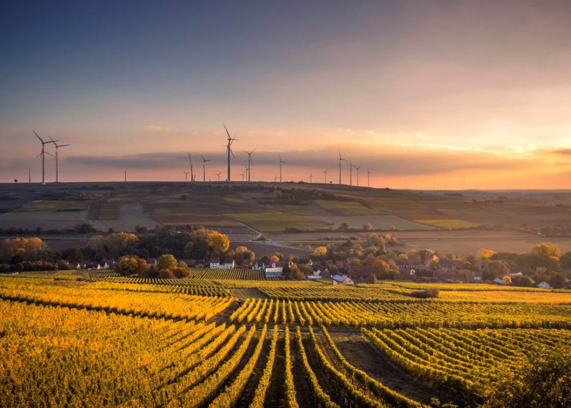 サステイナブルコーヒー