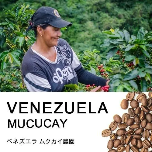 ベネズエラ・ムクカイ農園